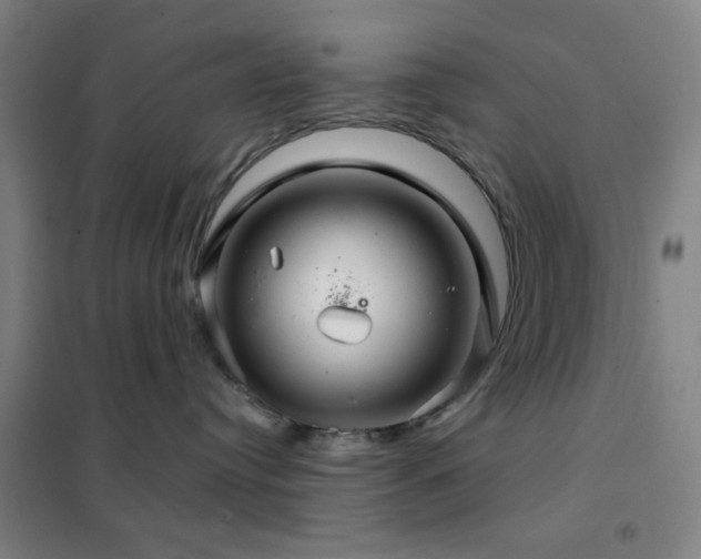 X0000102280384200807251404