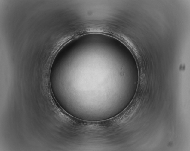 X0000102280385200807251403