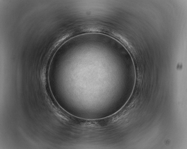 X0000102280386200807251403