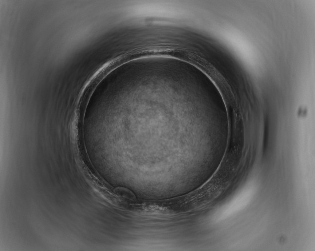 X0000102280387200807251403