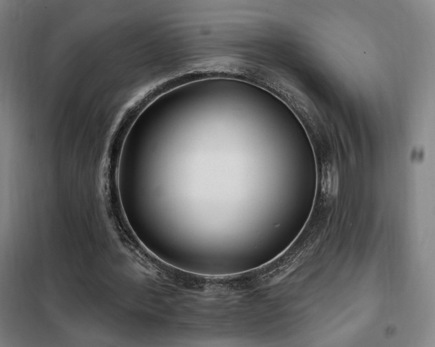 X0000102280388200807251403