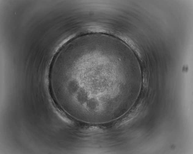 X0000102280390200807251403