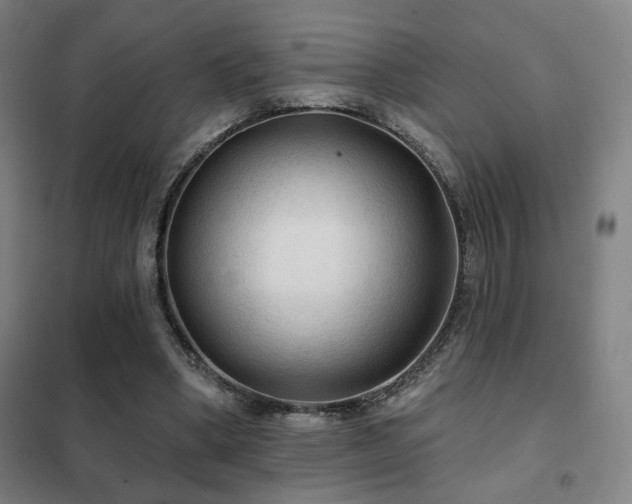 X0000102280394200807251403