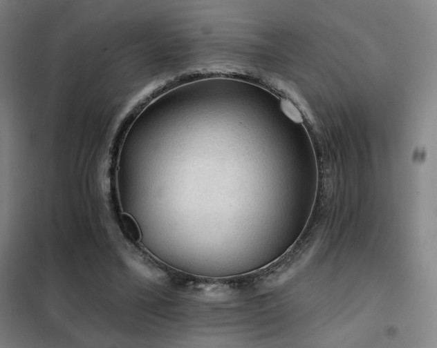 X0000102280395200807251403