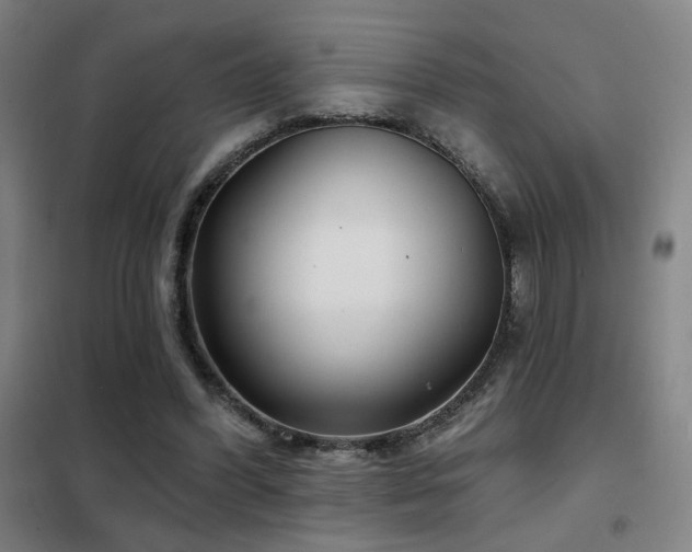 X0000102280396200807251403
