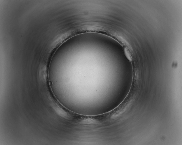 X0000102280397200807251403