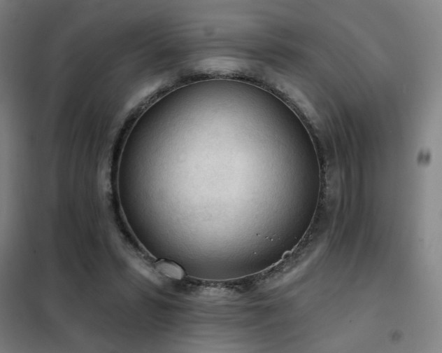 X0000102280399200807251403