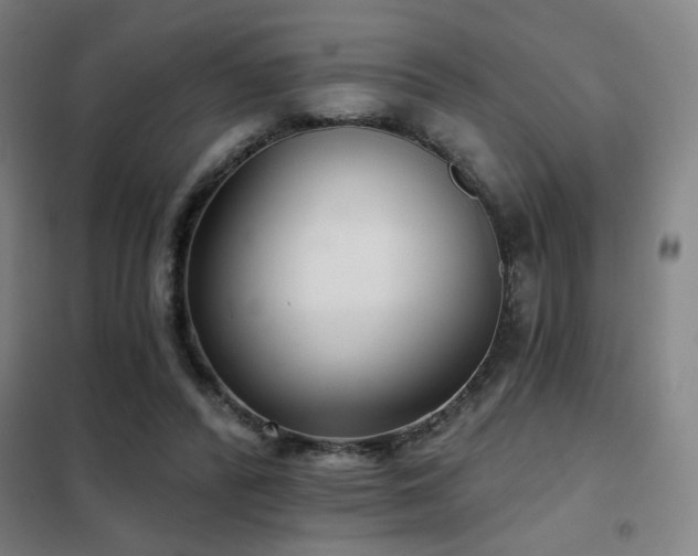 X0000102280400200807251403