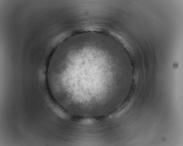 X0000102280402200807251403