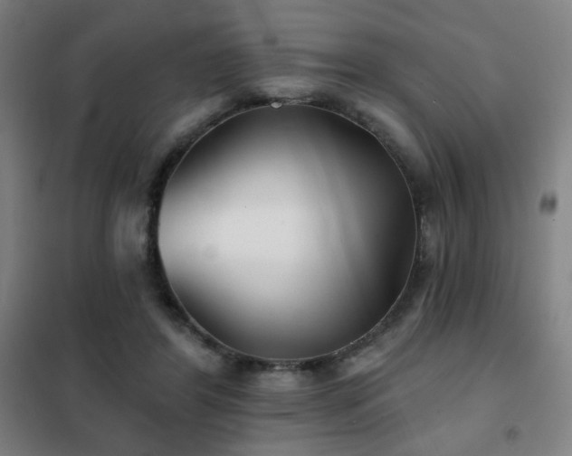 X0000102280404200807251403