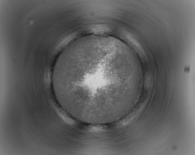 X0000102280405200807251403