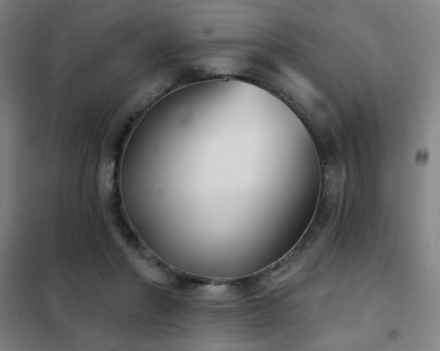 X0000102280406200807251403