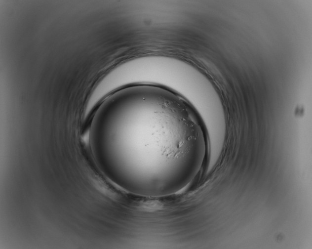 X0000102280409200807251403
