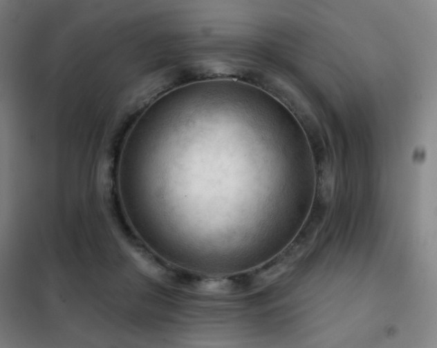 X0000102280410200807251403