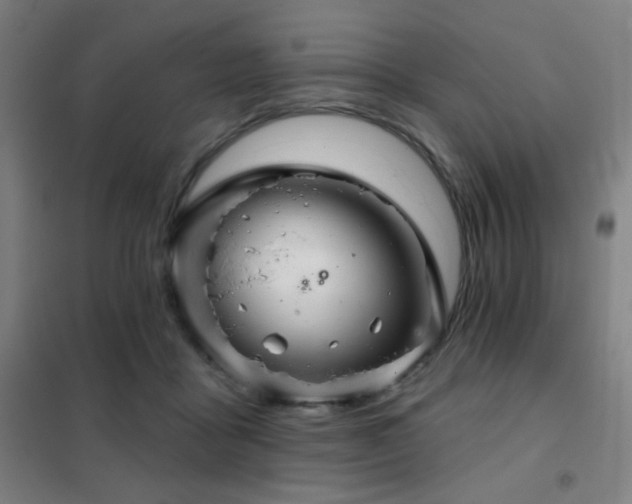 X0000102280411200807251403