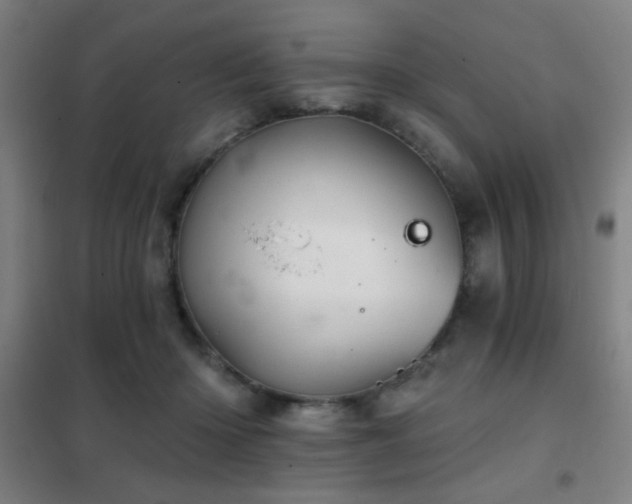 X0000102280414200807251403