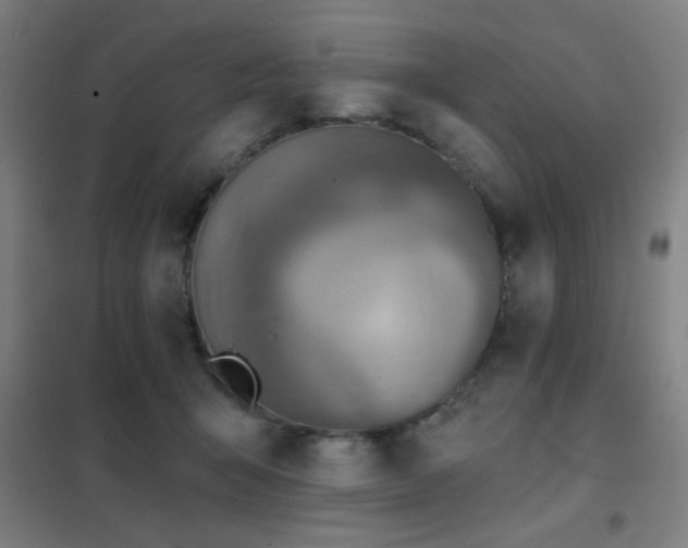 X0000102280415200807251403