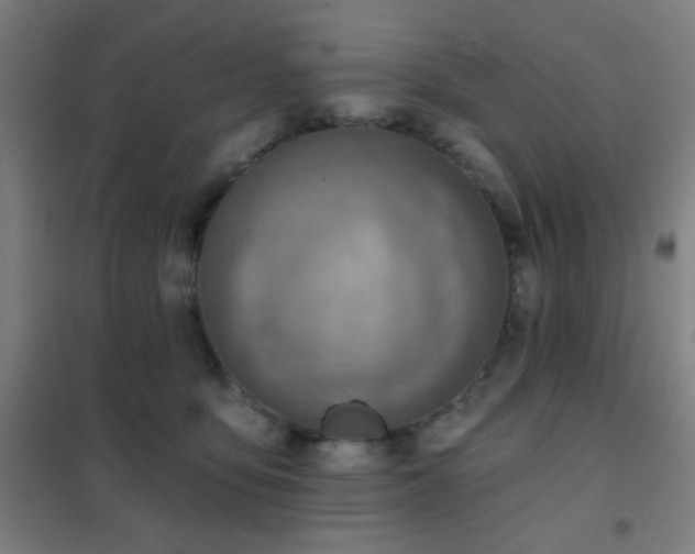 X0000102280419200807251403