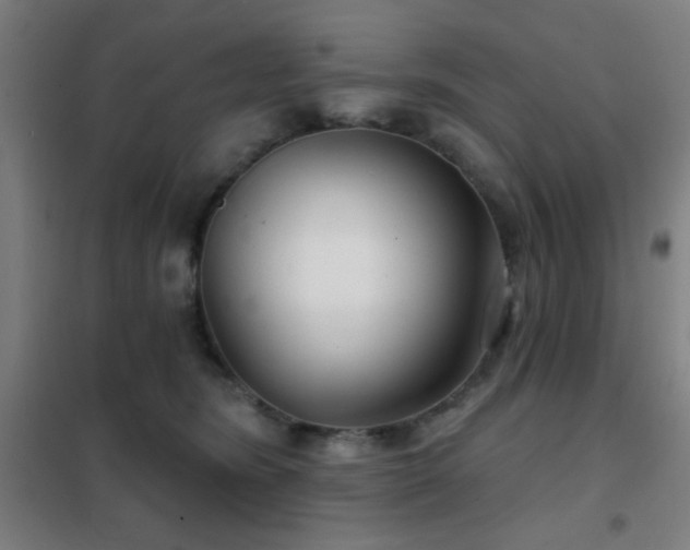 X0000102280420200807251403