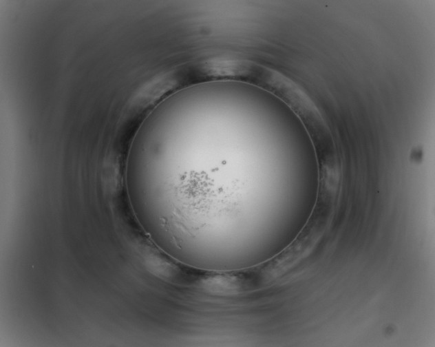 X0000102280422200807251403