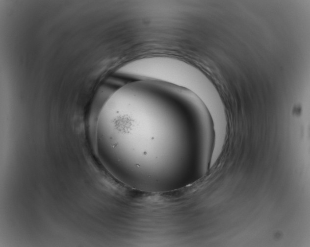 X0000102280423200807251403
