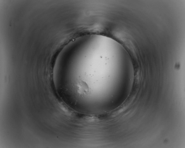 X0000102280424200807251403