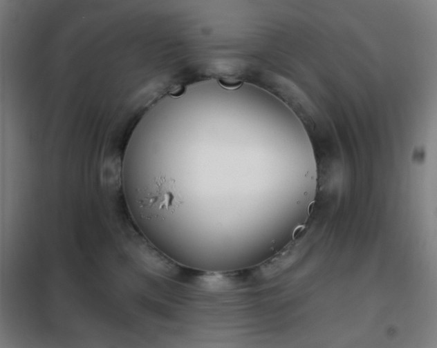 X0000102280425200807251403