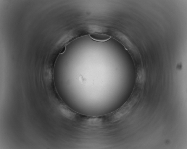 X0000102280426200807251403