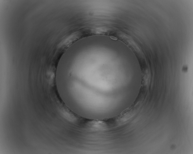 X0000102280427200807251403