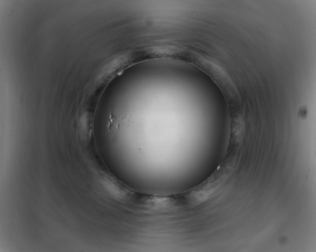 X0000102280428200807251403