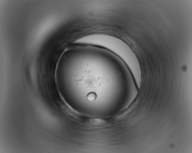 X0000102280429200807251403