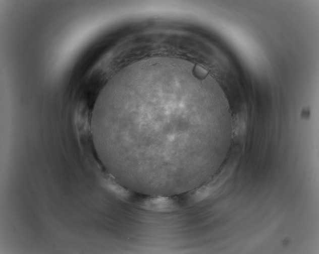 X0000102280431200807251402
