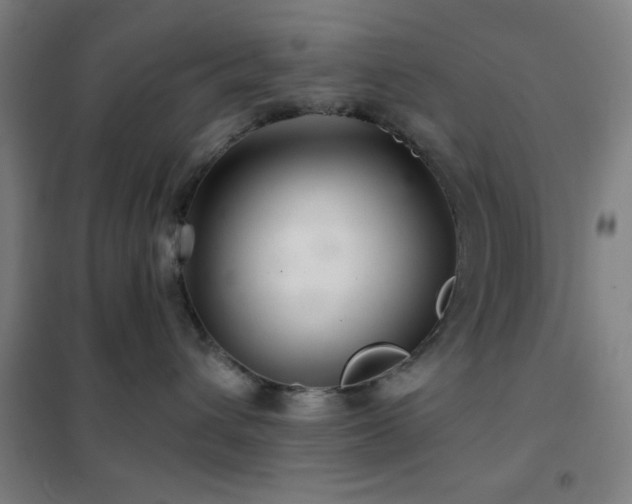 X0000102280432200807251402