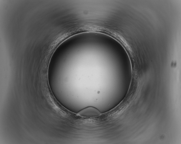 X0000102280433200807251402