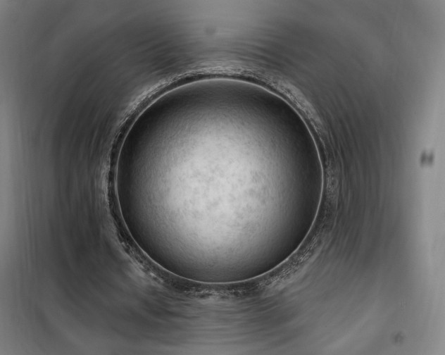 X0000102280434200807251402