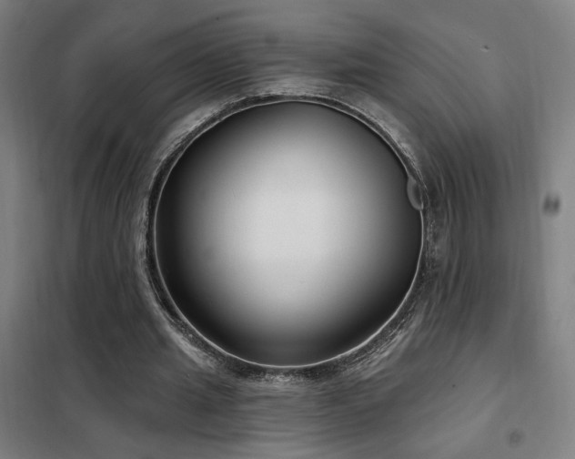 X0000102280437200807251402