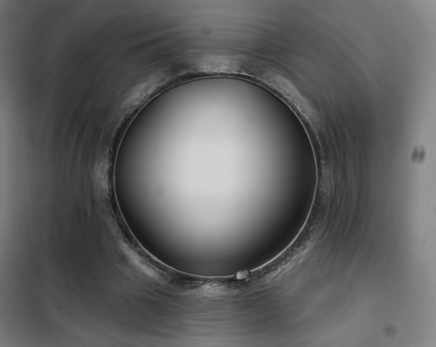 X0000102280441200807251402