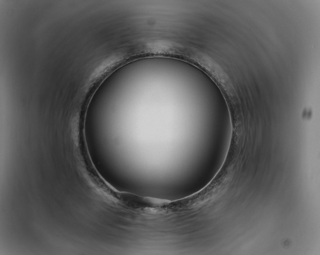X0000102280442200807251402
