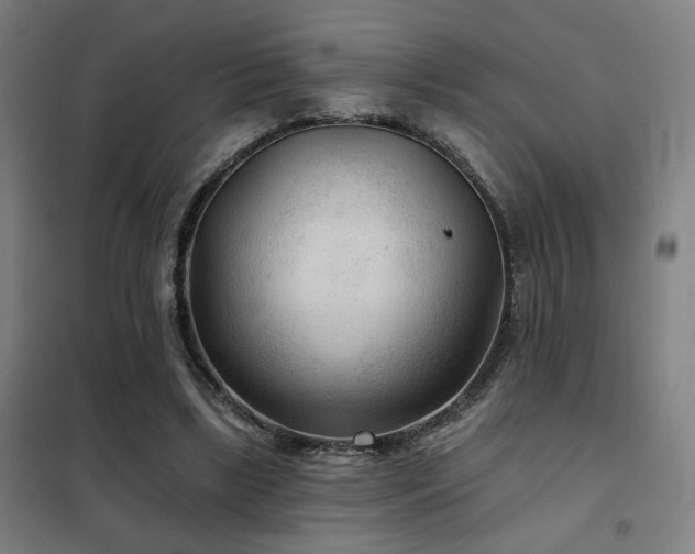 X0000102280443200807251402