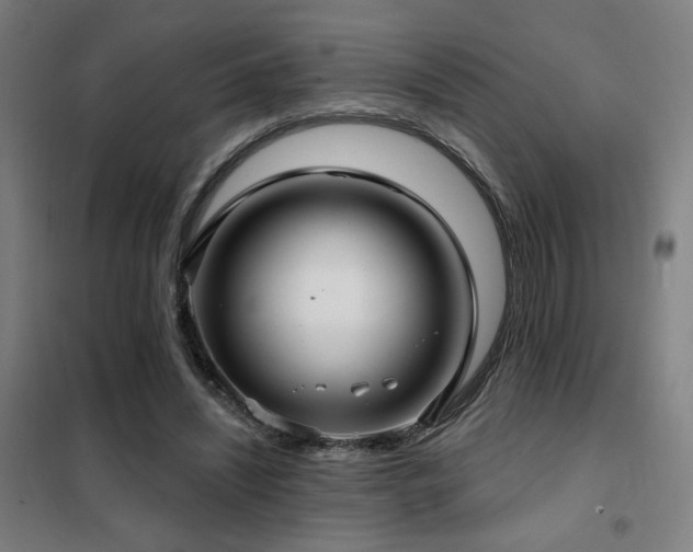 X0000102280444200807251402