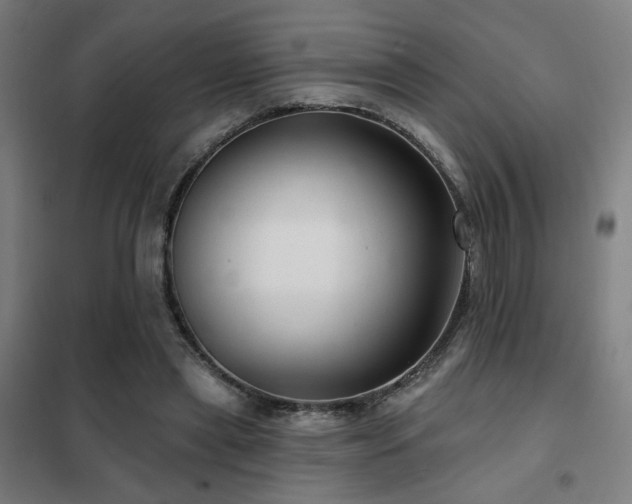 X0000102280445200807251402