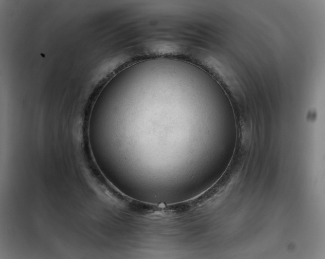 X0000102280447200807251402