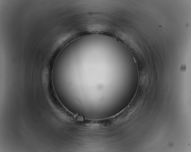X0000102280448200807251402