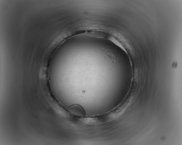X0000102280449200807251402