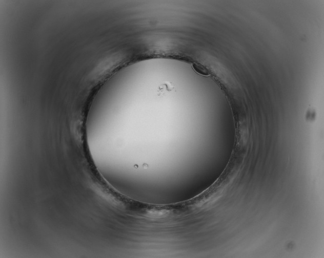 X0000102280450200807251402