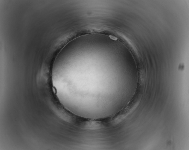 X0000102280451200807251402