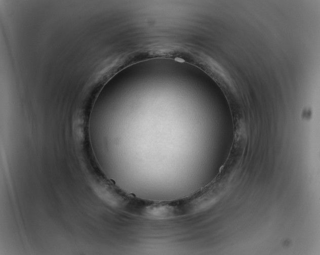 X0000102280452200807251402