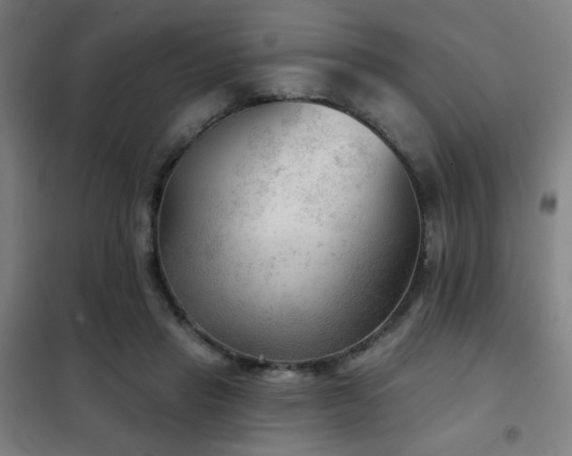 X0000102280453200807251402