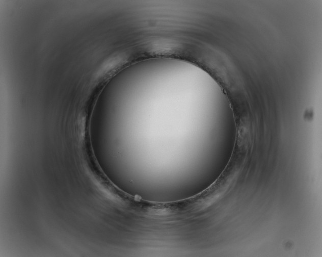 X0000102280454200807251402