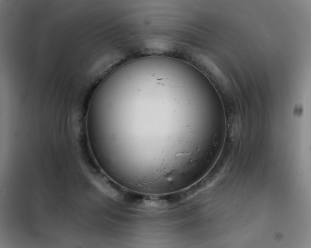 X0000102280455200807251402